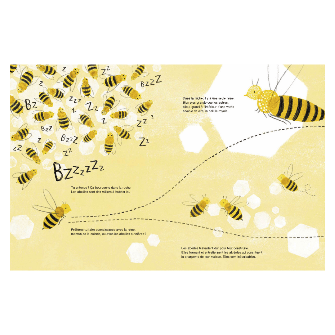 Suis du doigt l'abeille